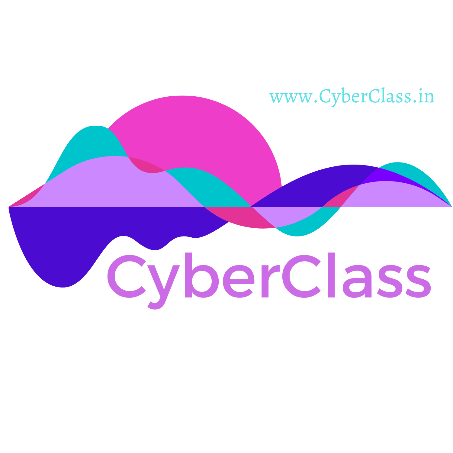 Cyber Class